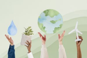 New Management & Sustainability