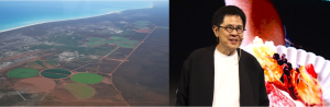 Pardoo Beef Corporation การเปลี่ยนทุ่งหญ้าแห้งแล้งให้เป็นทุ่งเลี้ยงวัวเนื้อวากิว
