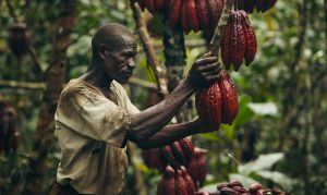 CSV in Ghana [1]